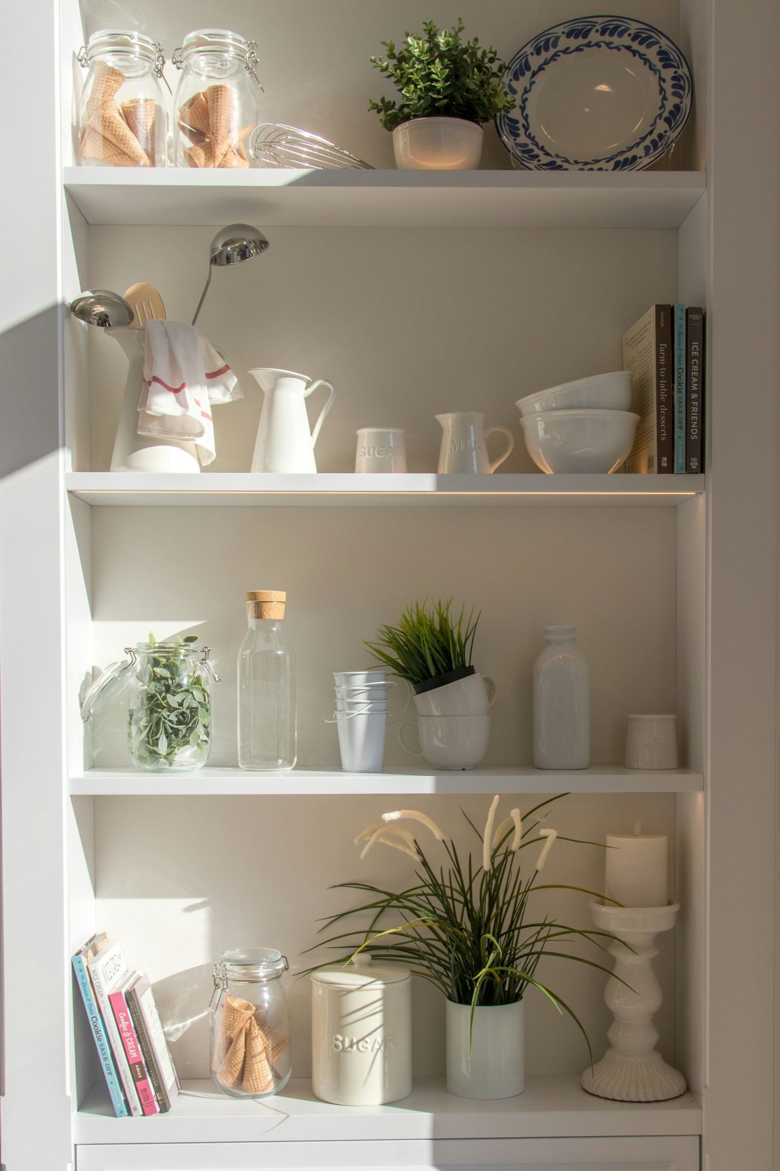 Built-in white shelving with plants, books and ceramics